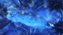 410-old-friends-new-planets-315.jpg